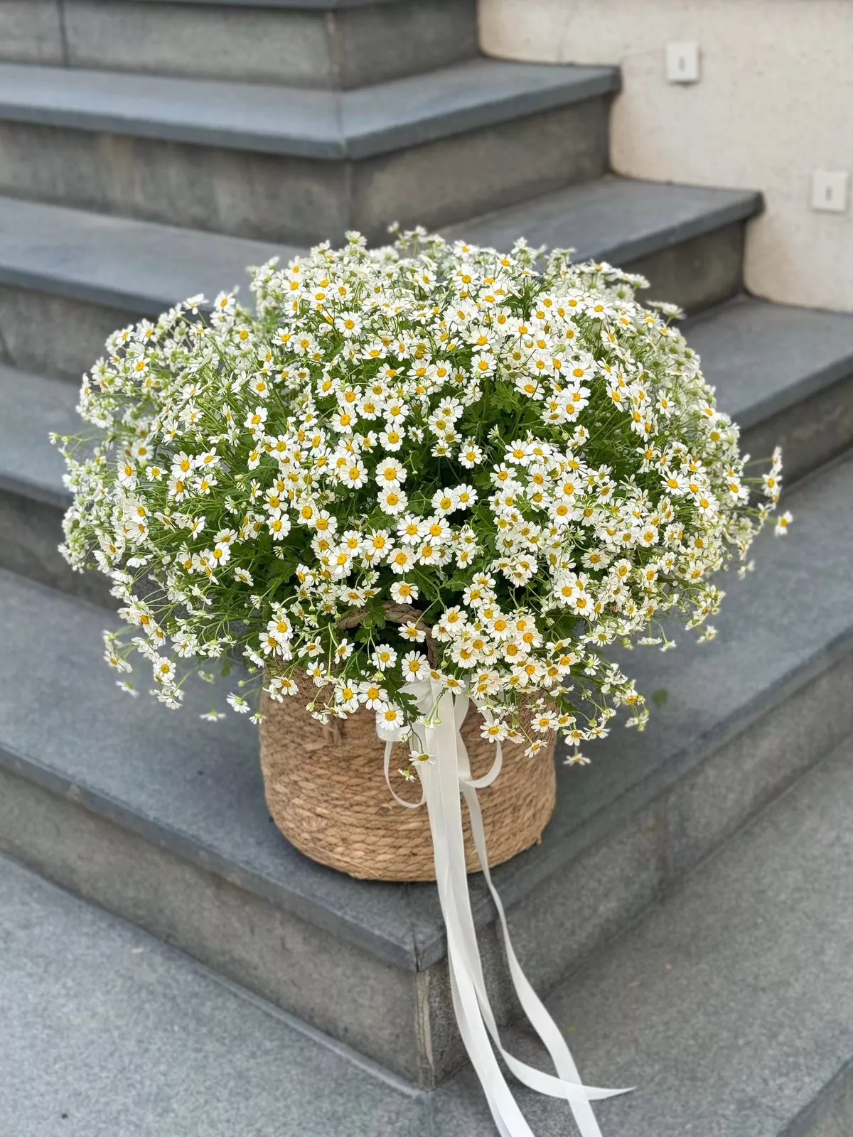 Букет "Ромашковый бум"