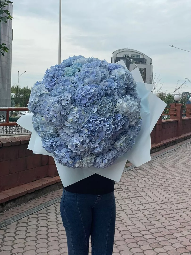 Букет из 31 гортензии голубого цвета