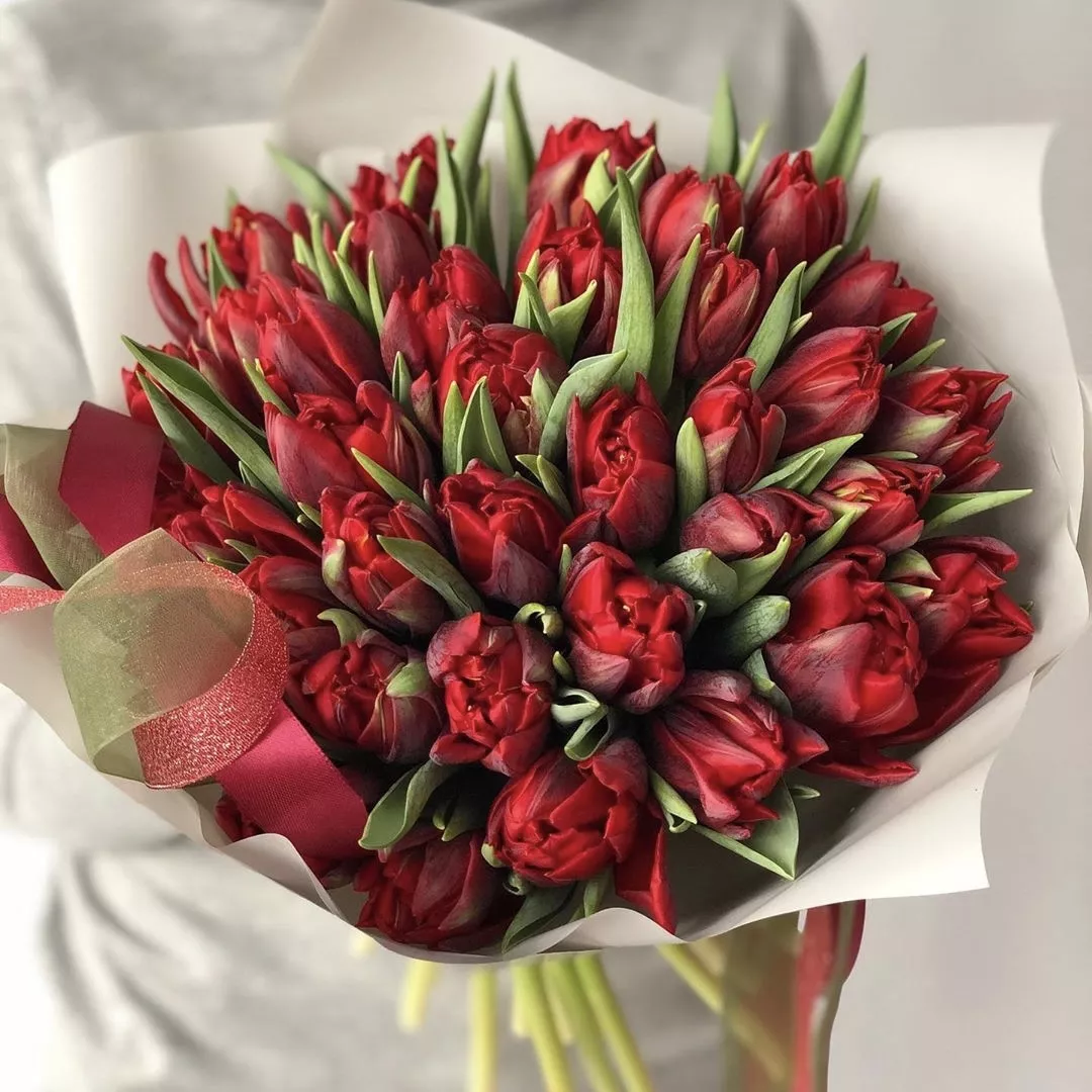 Букет из 35 пионовидных красных тюльпанов "Kiss"