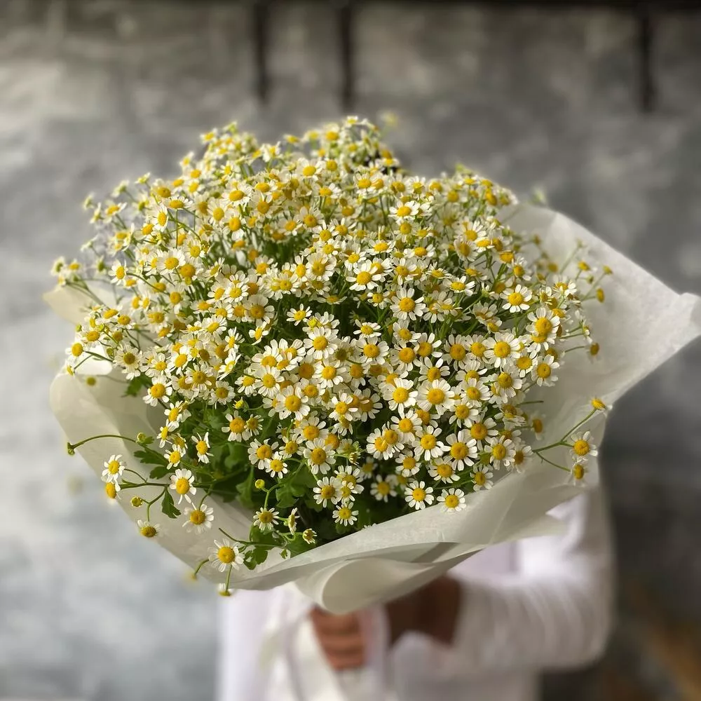 Букет из 15 кустовых ромашек