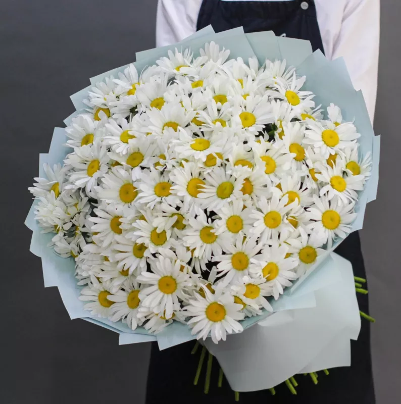 Букет из 101 ромашки 
