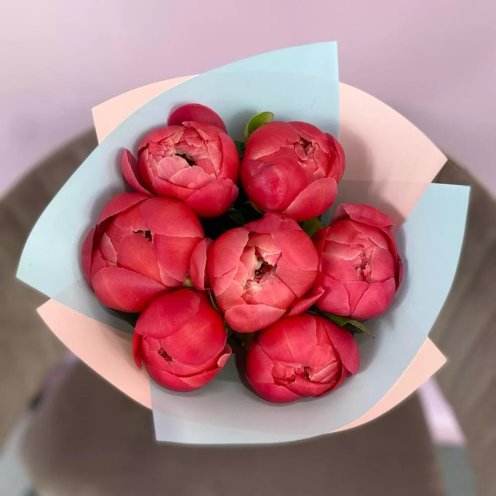 Моно букет из 5 красных пионов