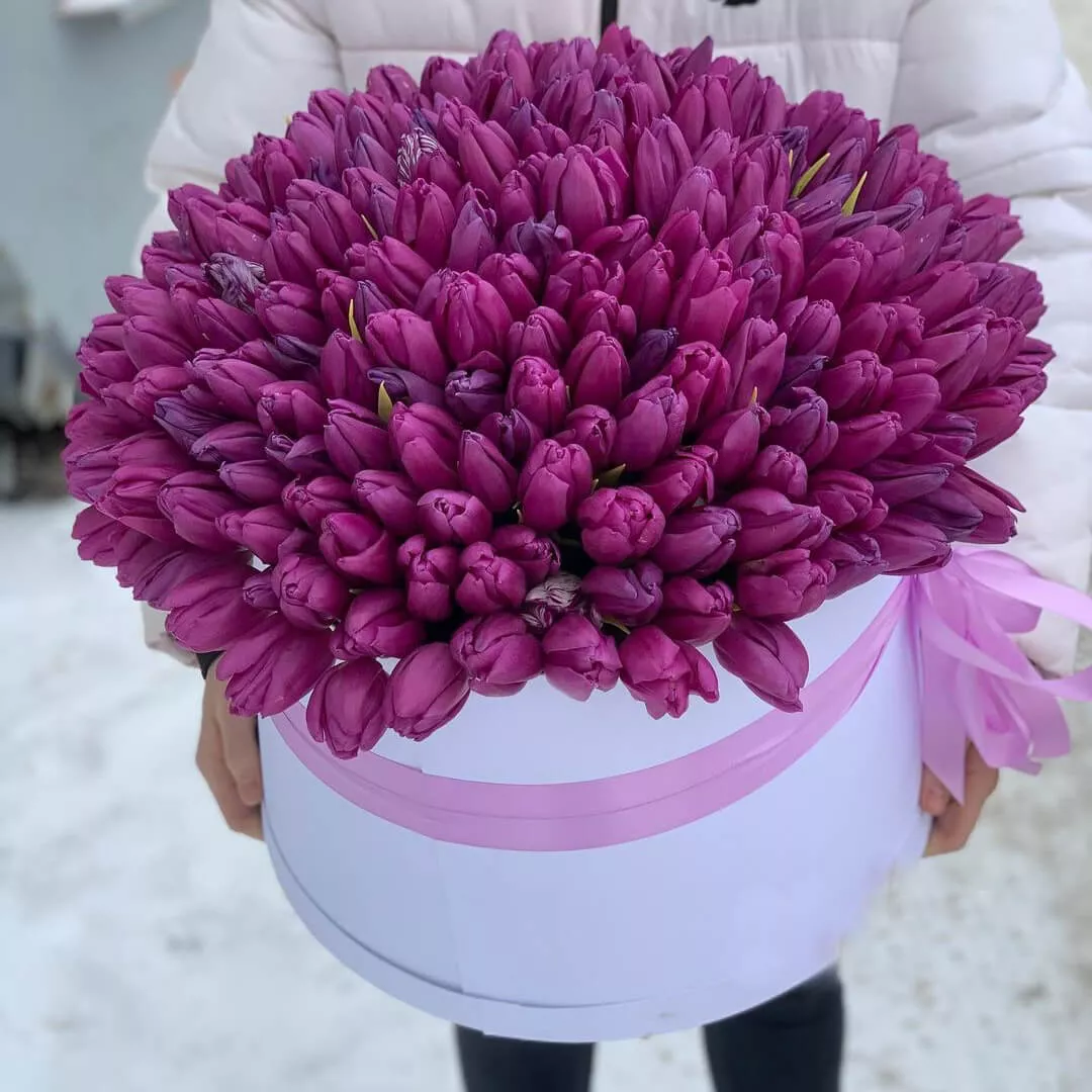 201 сиреневый тюльпан в коробке