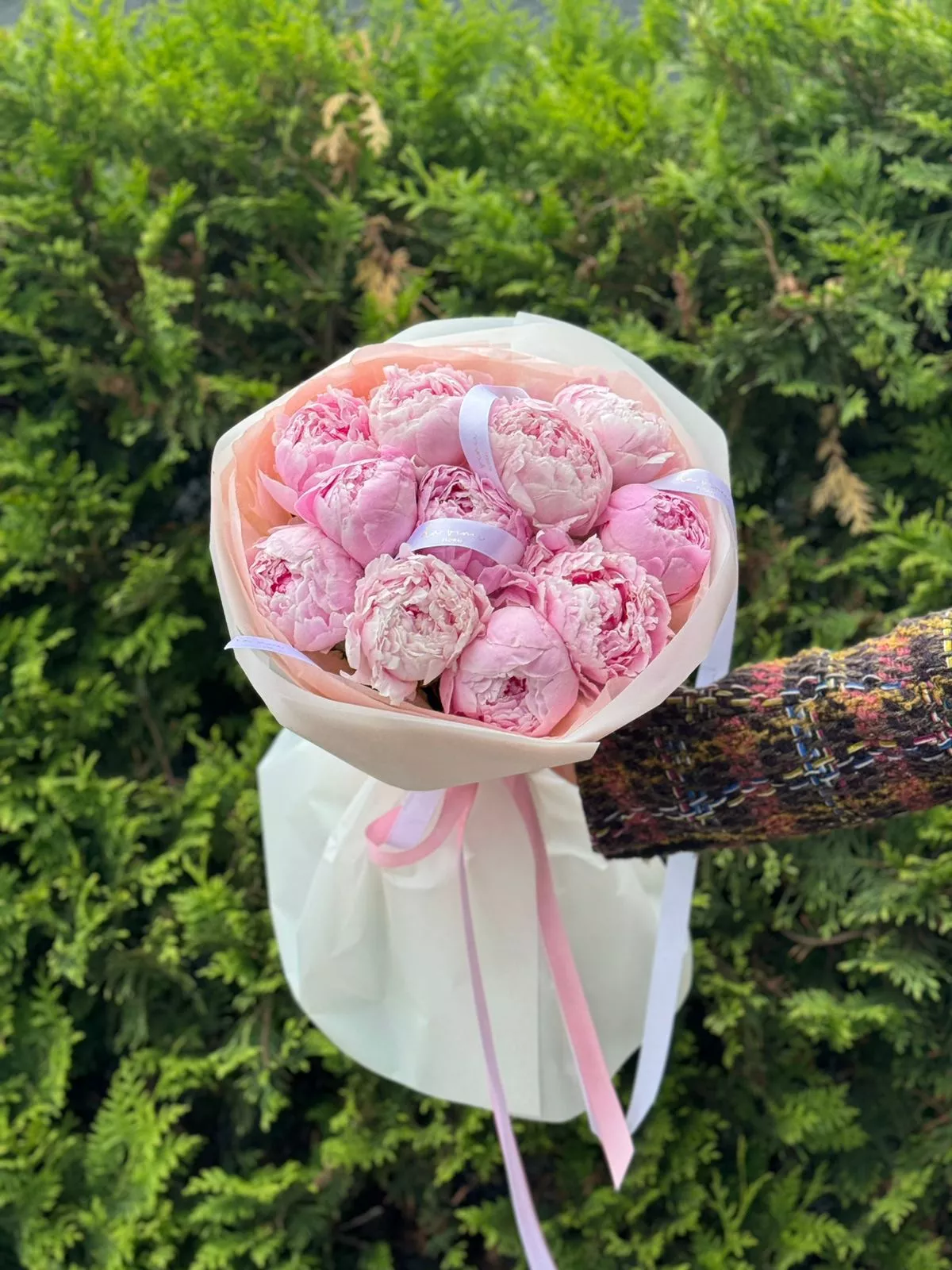 11 нежных голландских пионов в роскошном оформлении