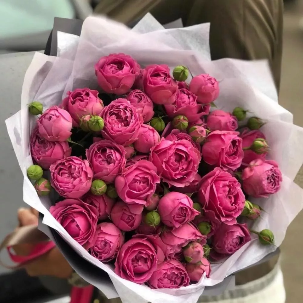 Букет 11 малиновых пионовидных кустовых роз