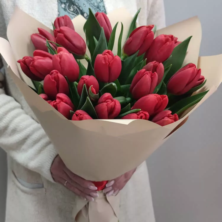 21 красный голландский тюльпан