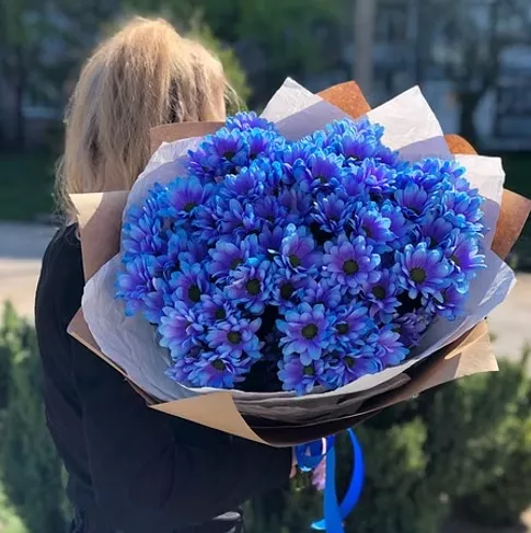 Букет из 13 синих кустовых хризантем