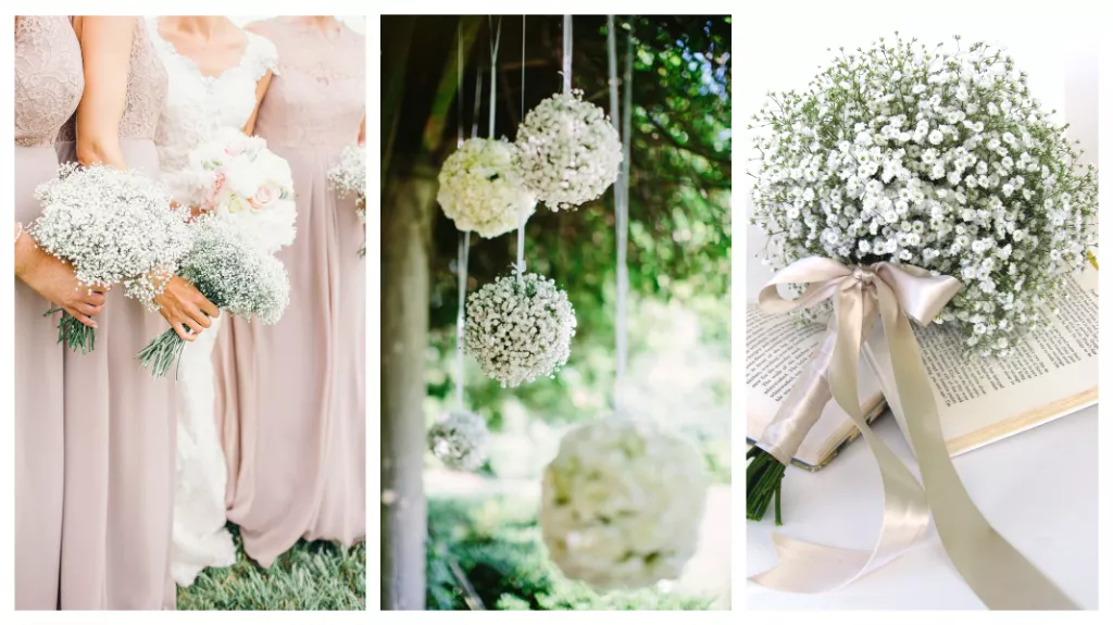 Нежные цветы гипсофилы Коллаж из белых гипсофил