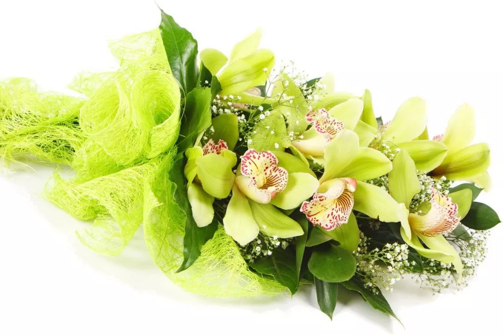 Букет из орхидей Букет из орхидей