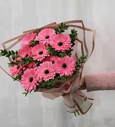 Букет из 11 розовых гербер с фисташкой 