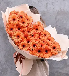 Букет из 35 гербер