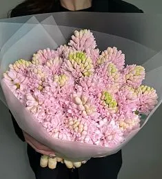 Букет из 25 розовых гиацинтов