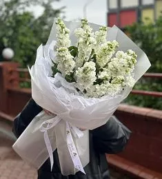 Букет "Матэя" из маттиолы