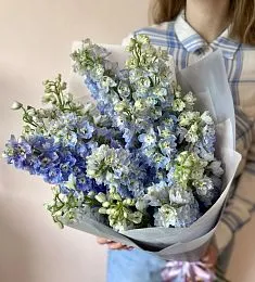 Букет из 17 дельфиниумов