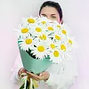 Букеты ромашек девушкам