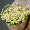 Букеты ромашек по количеству