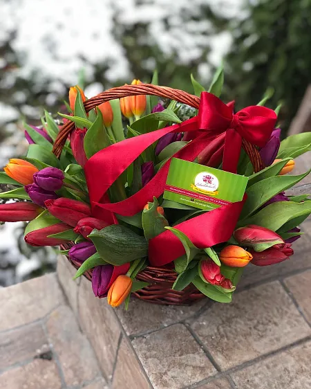 35 голландских тюльпанов в корзине 2