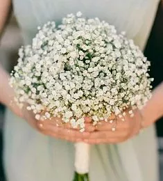 Букет невесты из 5 гипсофил