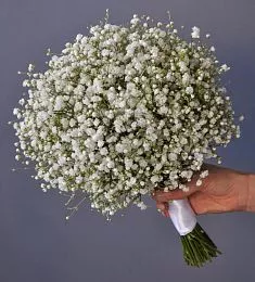 Букет невесты из 11 гипсофил