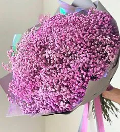 Букет из 25 сиреневых гипсофил
