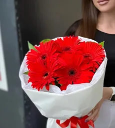 Букет из 5 гербер с рускусом