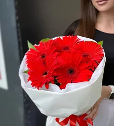 Букет из 5 гербер с рускусом