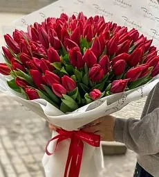 101 красный тюльпан в оформлении