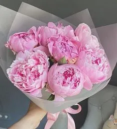 Букет из 7  голландских пионов в матовом оформлении