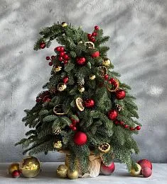 Елка "Red Berries"