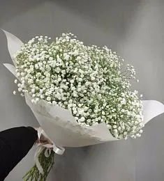 Букет из 15 гипсофил