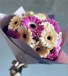 Букет из 21 фиолетовой и кремовой герберы