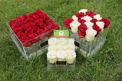 Голландские розы в стеклянной коробке maison des FLEURS 1
