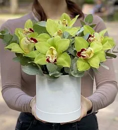 Композиция " To my lady" из орхидей в коробке