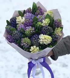 Букет из 25 белых и синих гиацинтов 