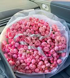 51 пионовидная спрей роза