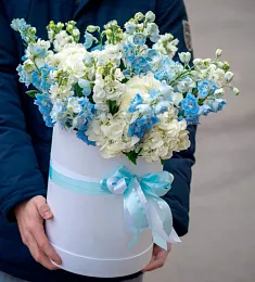 15 дельфиниумов в коробке