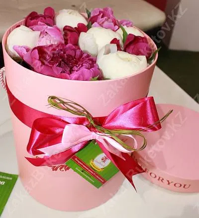 Голландские пионы в коробке Just for You 3