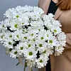 Букеты белых хризантем