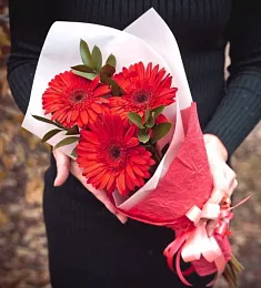 Букет из 3 гербер с рускусом