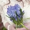 Букеты гиацинтов - повод