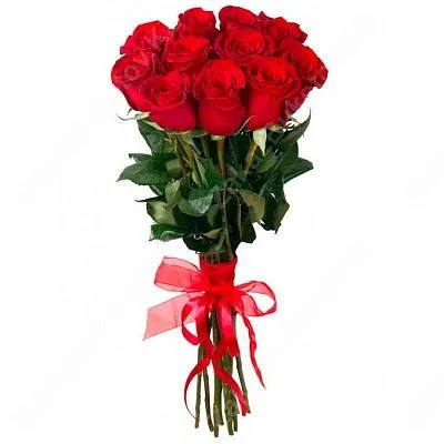 Букет из 15 голландских роз любого цвета 2