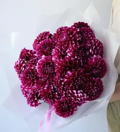 Букет из 29 бордовых  георгинов