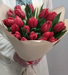 21 красный голландский тюльпан