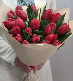 21 красный голландский тюльпан