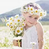Букеты ромашек для детей