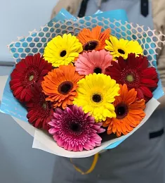 Букет из 11  гербер микс