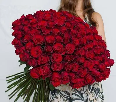 Букет из 101 красной голландской розы 1