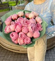 Букет из 25 нежных розовых пионов в зеленом оформлении