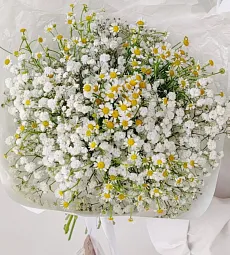 Букет "Лигини"из кустовой ромашки и гипсофилы