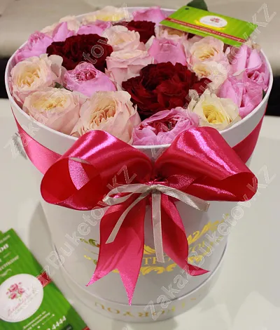 Голландские пионы в коробке Just for You 1